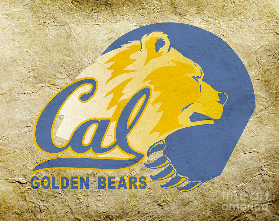Cal Golden Bears Digital Art by Steven Parker