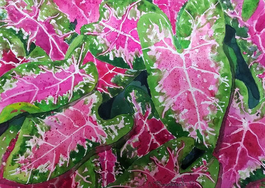 Caladiums in Abundance Painting by Ann Frederick