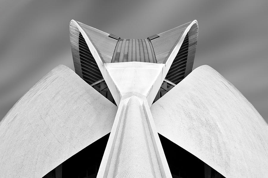 Calatrava Photograph by Alida Van Zaane