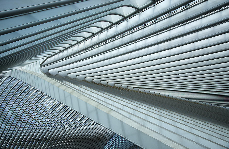 Calatrava Lines Photograph by Alfons Paesen