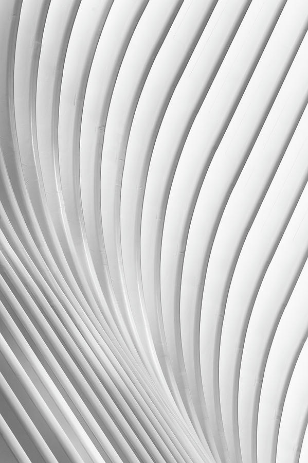 Black And White Photograph - Calatrava Lines by Christopher Budny