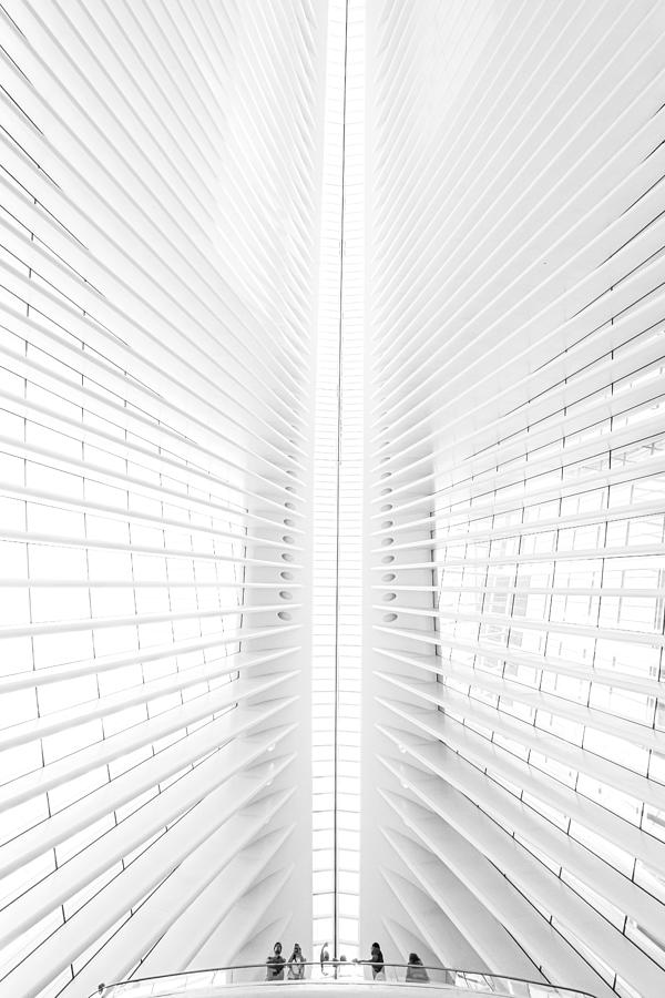 Calatrava Vision Photograph by Massimo Alloi
