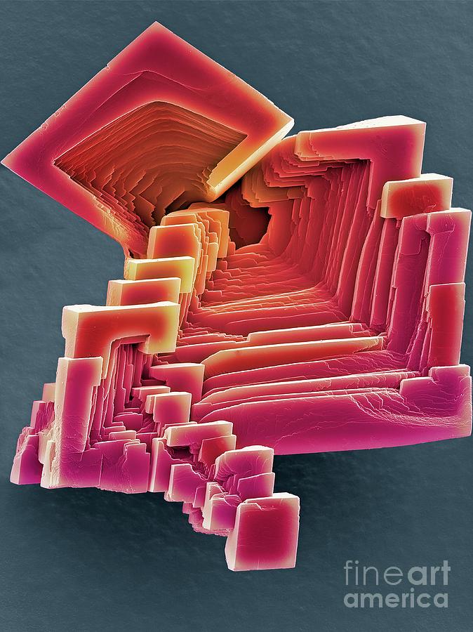 Calcium Carbonate Crystals Photograph by Steve Gschmeissner/science Photo Library