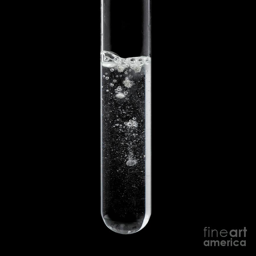 Calcium Reacting With Water Photograph by Science Photo Library