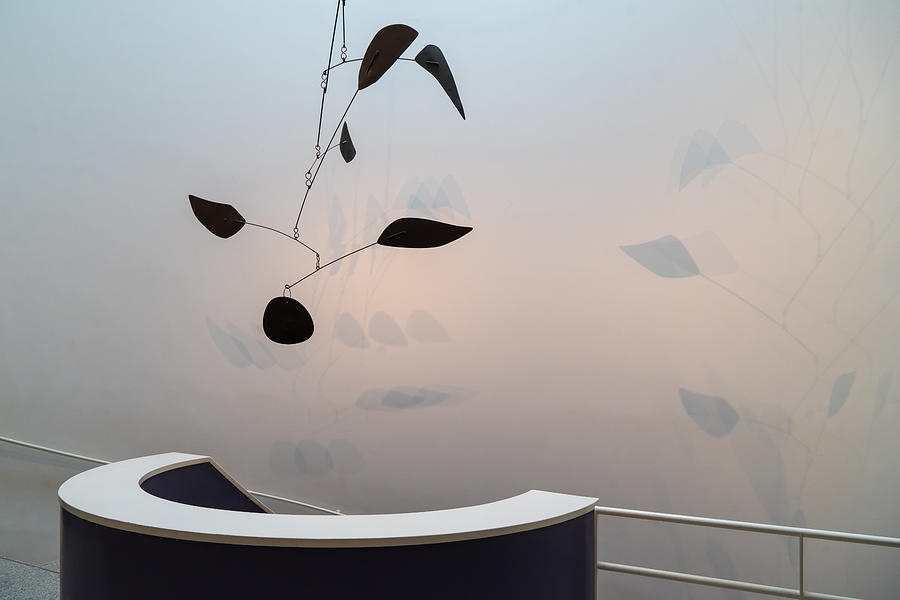 Calder Leaves Photograph by Luc Vangindertael (lagrange)
