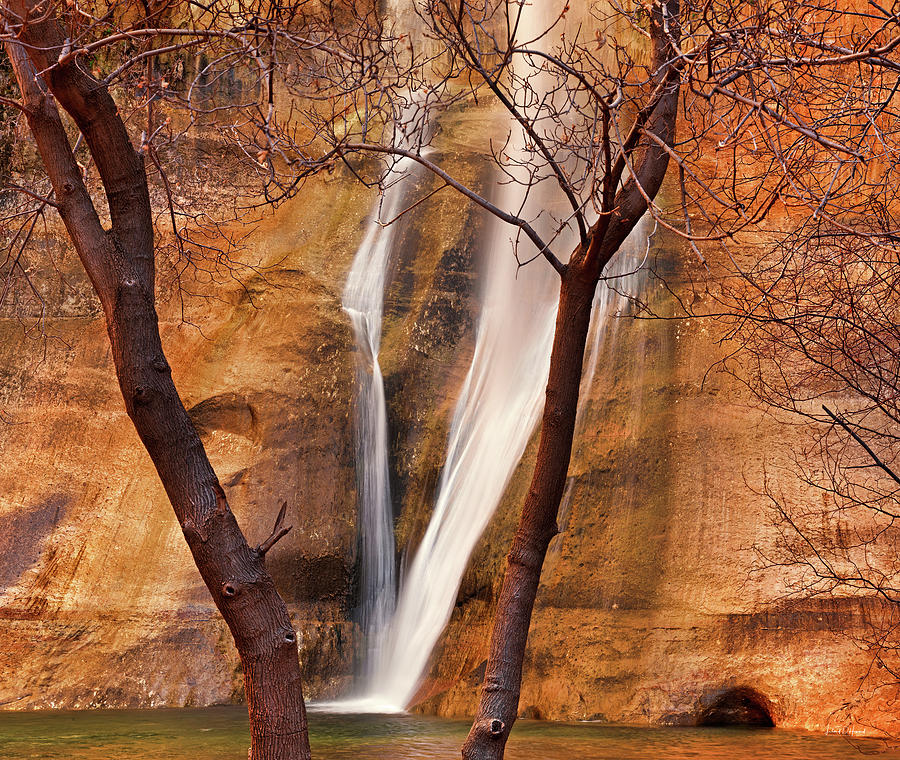 Calf Creek Falls Photograph by Leland D Howard
