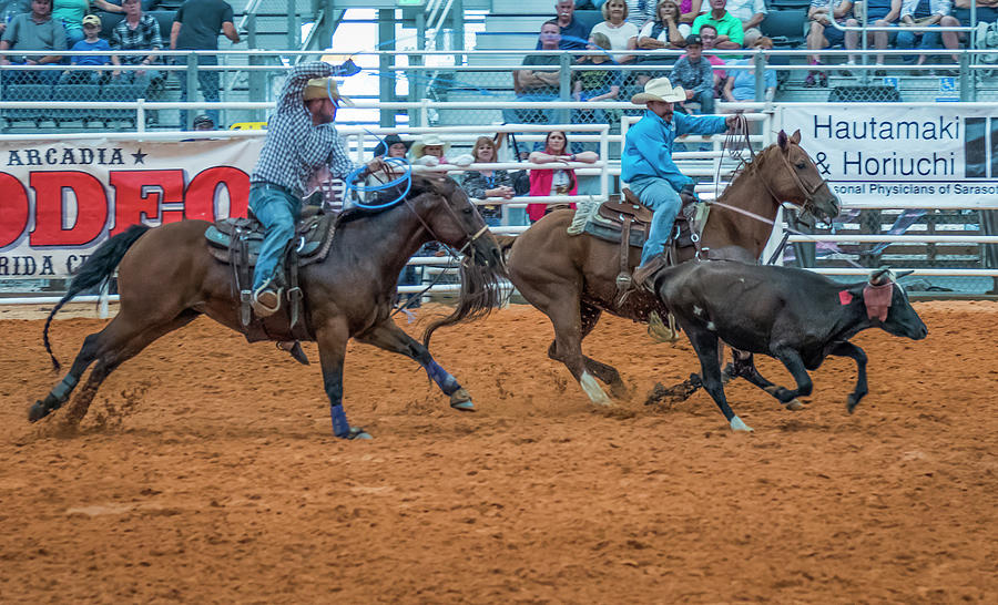Calf Roping Duo Photograph by Ginger Stein