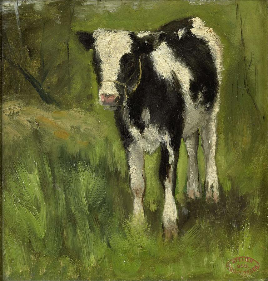 Calf, spotted black and white. Painting by Geo Poggenbeek -1853-1903-