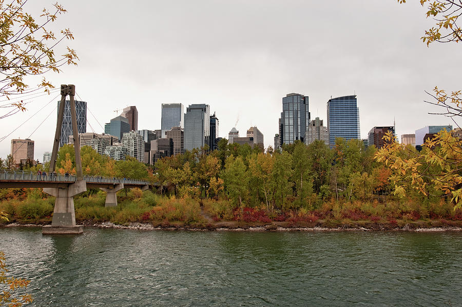 Calgary in Autumn Photograph by Catherine Reading