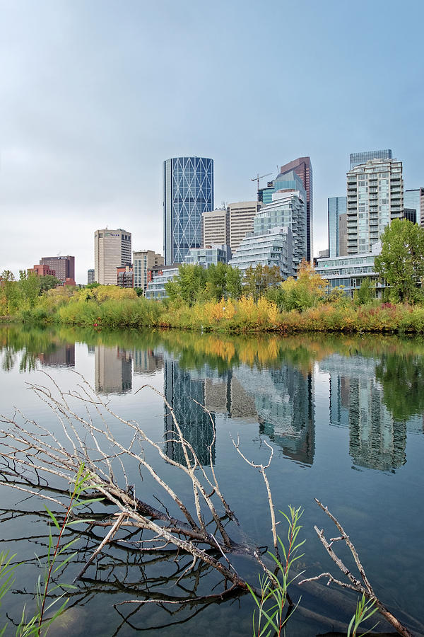 Calgary Wetlands Photograph by Catherine Reading