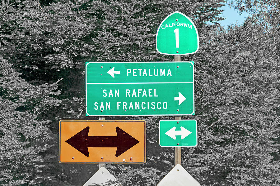 California Photograph - California Highway 1 Good Times by Betsy Knapp California Photograph - California Highway 1 Good Times by Betsy Knapp