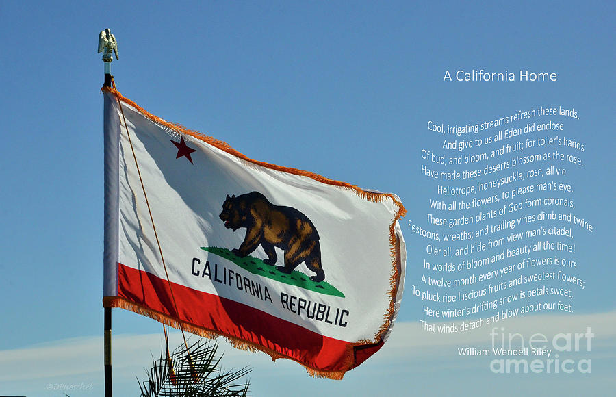 California Home Poem Photograph by Debby Pueschel