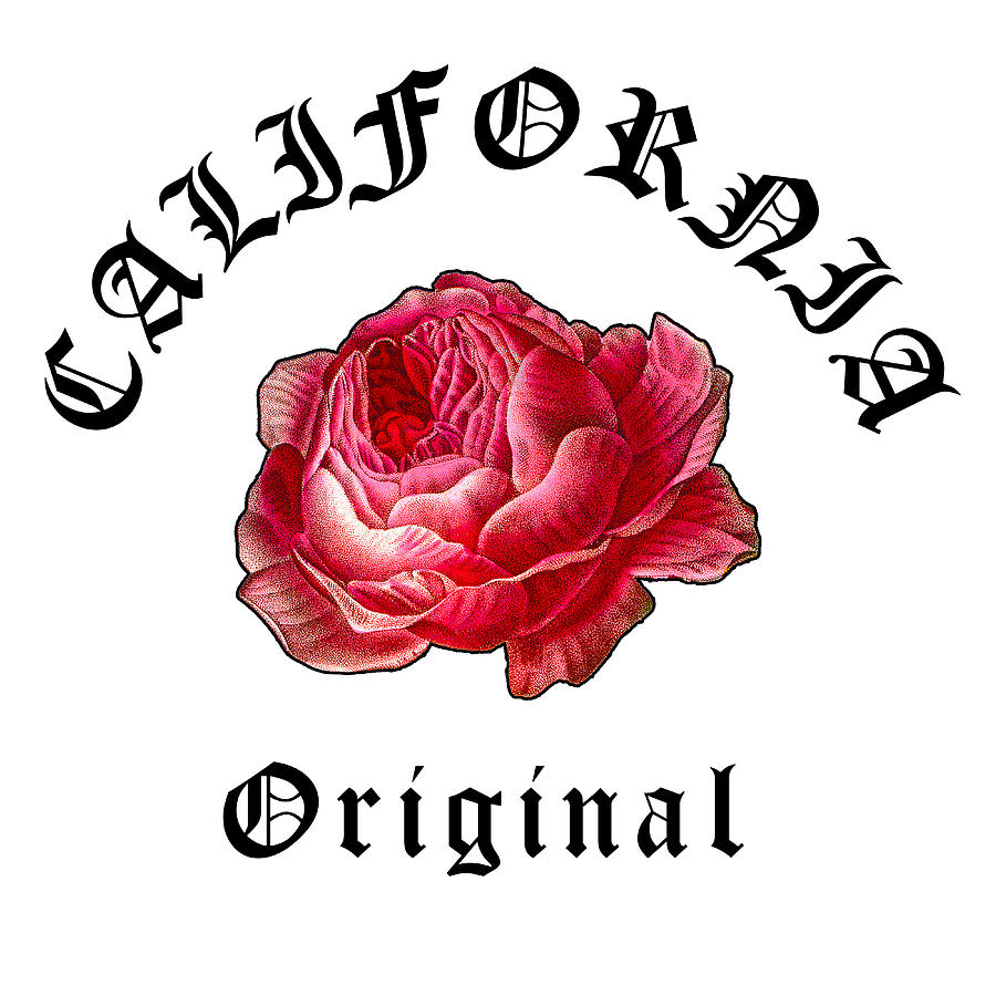 California Antique Red Rose, California Original, California Hardcore Streetwear BL Digital Art by Kathy Anselmo