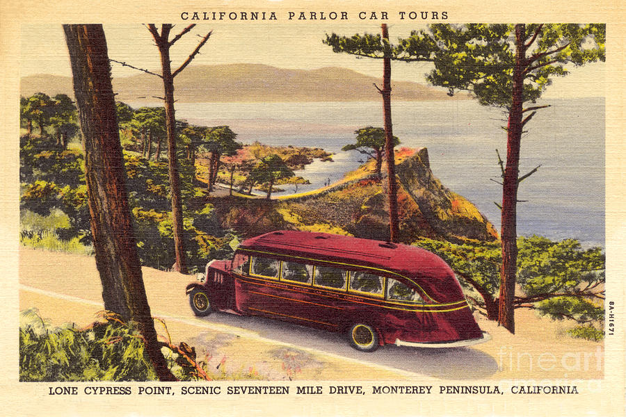 Tree Photograph - California Parlor Car Tours, near the Lone Cypress Tree circa 1933 by Monterey County Historical Society