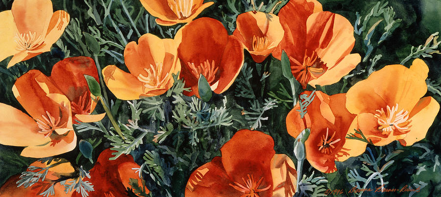 California Poppies Painting By Donna Barnes Roberts