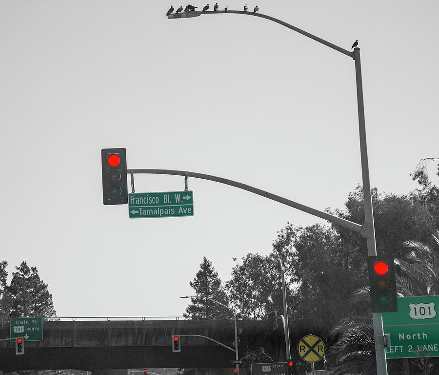 California Photograph - California Red Lights 101 by Betsy Knapp California Photograph - California Red Lights 101 by Betsy Knapp