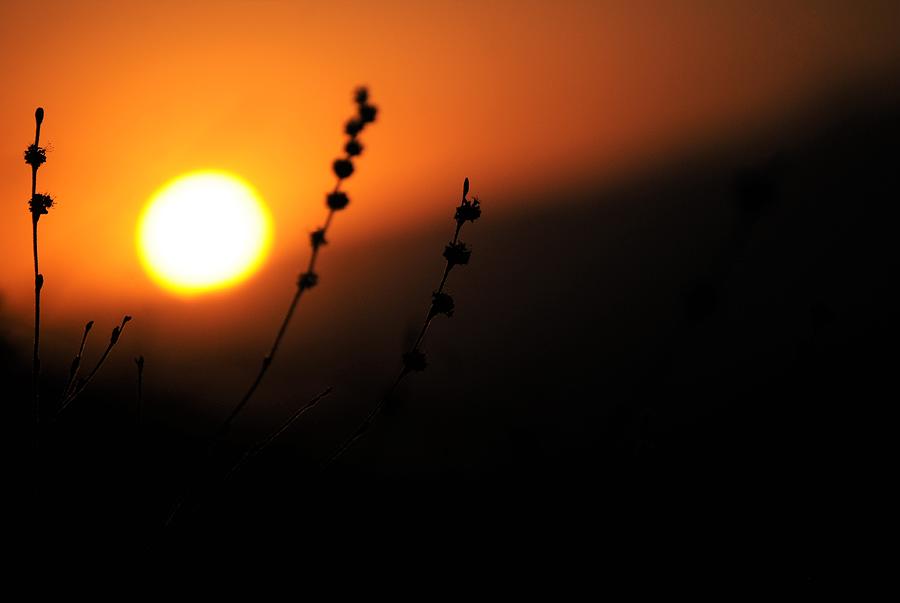 California San Bernardino Golden Mountain Sunset Photograph by Michael Hoard