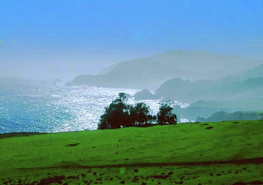 California Sea Coast Photograph by George Garcia