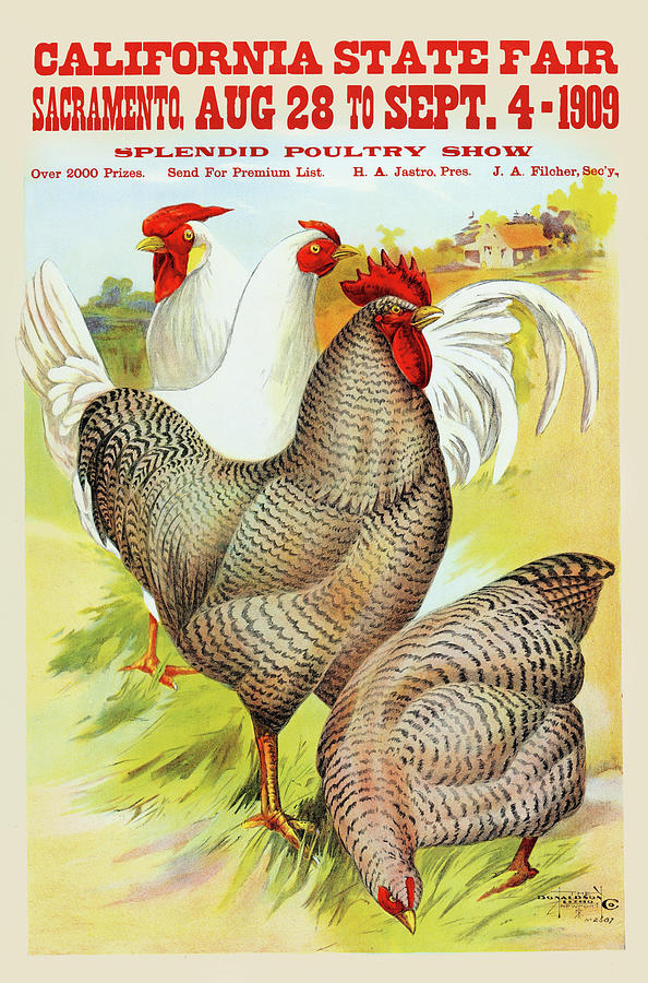California State Fair, Sacramento, Aug. 28 to Sept. 4 - 1909, splendid poultry show Painting by Unknown California State Fair, Sacramento, Aug. 28 to Sept. 4 - 1909, splendid poultry show Painting by Unknown