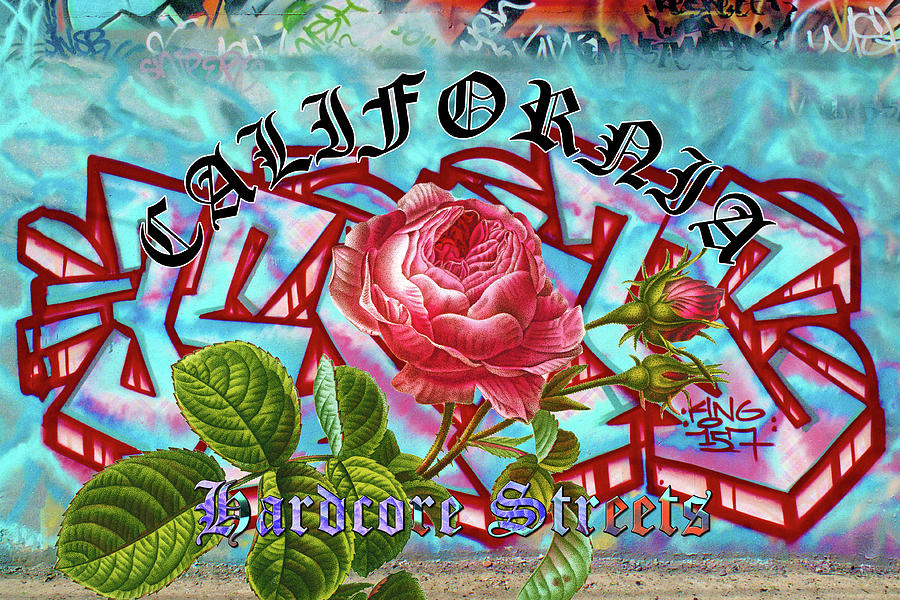 California Hardcore Streets Urban Graffiti with Antique Heirloom Rose Digital Art by Kathy Anselmo