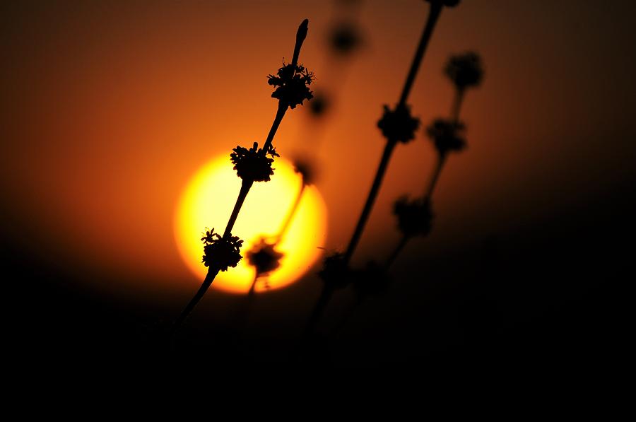 California Sun Set Atop A Mountain In San Beernardino  Photograph by Michael Hoard