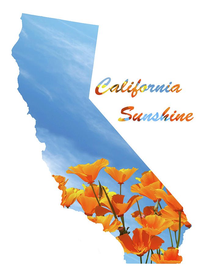 California Sunshine State Map Photograph by Gill Billington