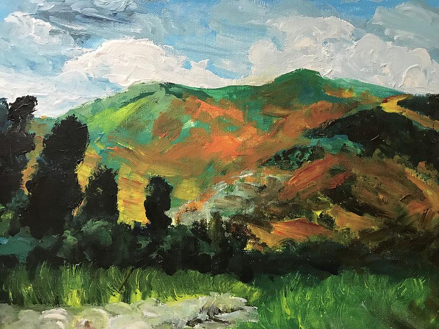 California, The Great Spring Painting by Danielle Rosaria