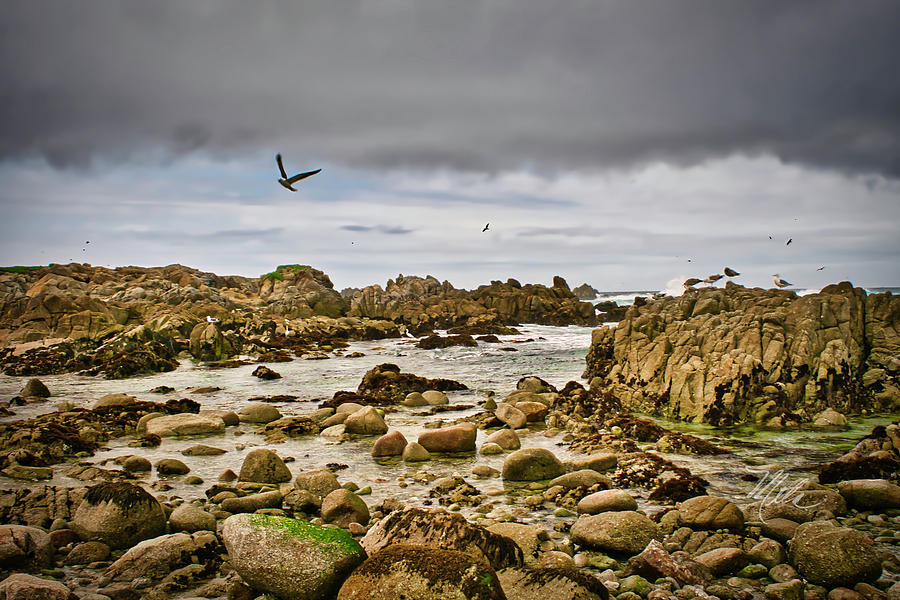 California Water Rocks Photograph by Meta Gatschenberger