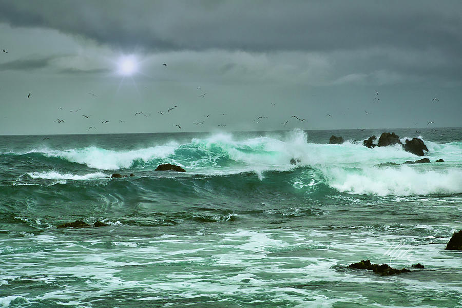 California Waves Photograph by Meta Gatschenberger