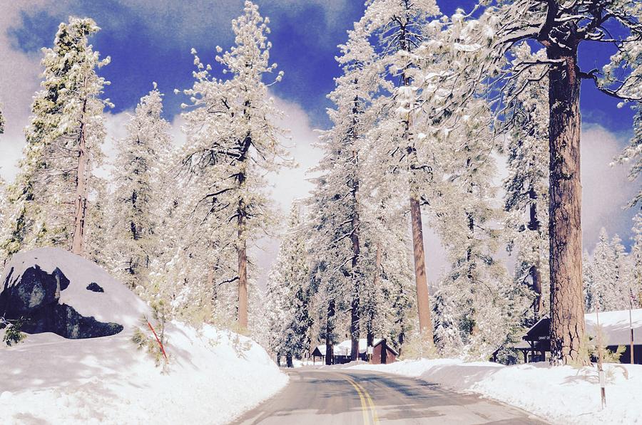 California Winter Photograph by Joe Burns