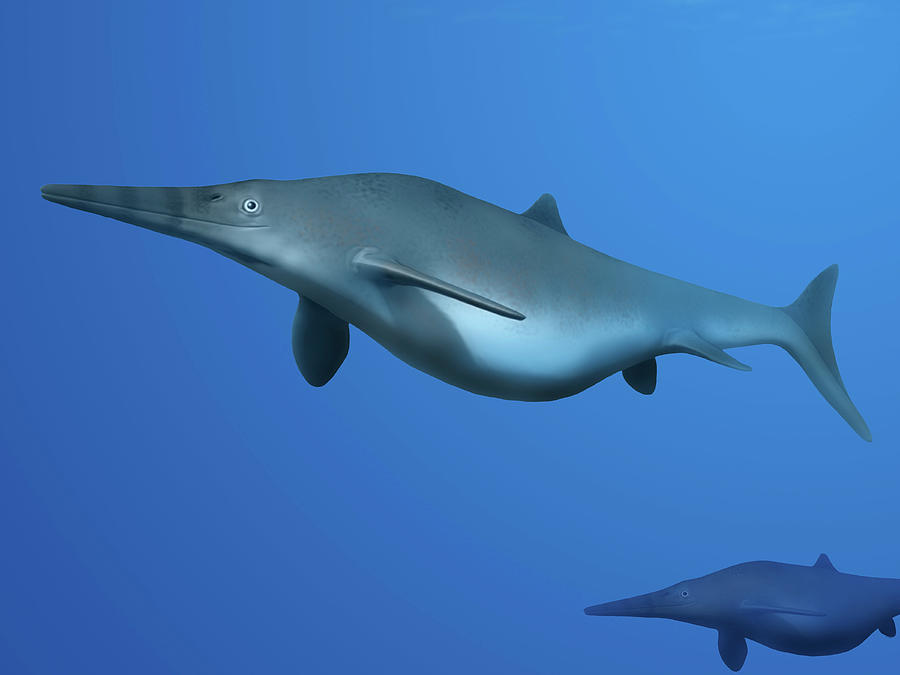 Californosaurus Perrini Ichthyosaurs Photograph by Nobumichi Tamura ...