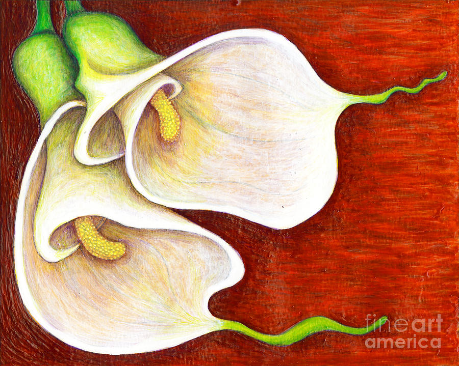 Calla Lilies Painting by Amy E Fraser