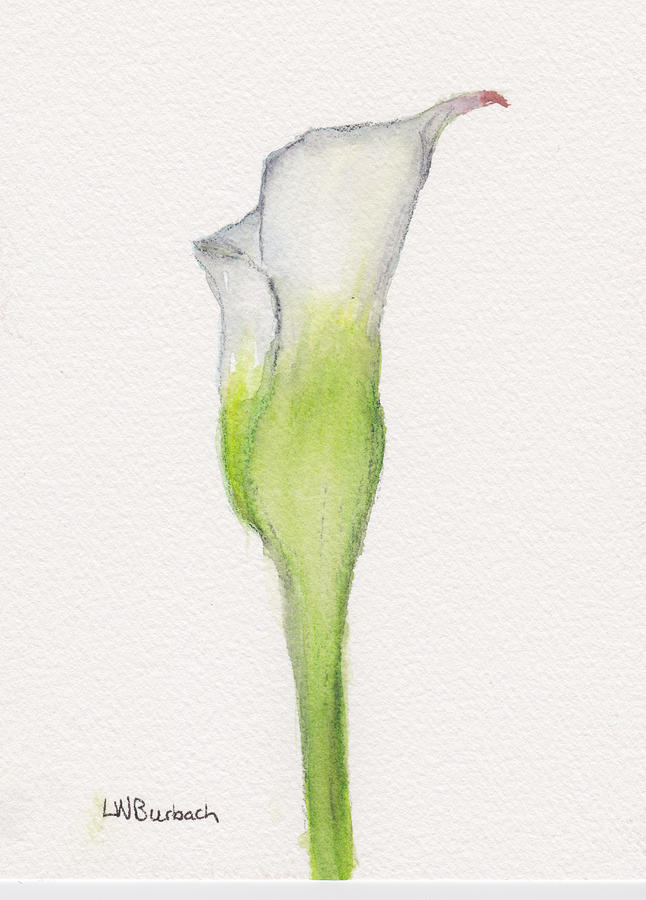Calla Lily Painting by Lisa Burbach