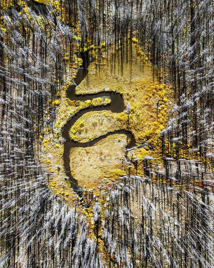 Landscape Photograph - Calligraphy by Ted Hesser