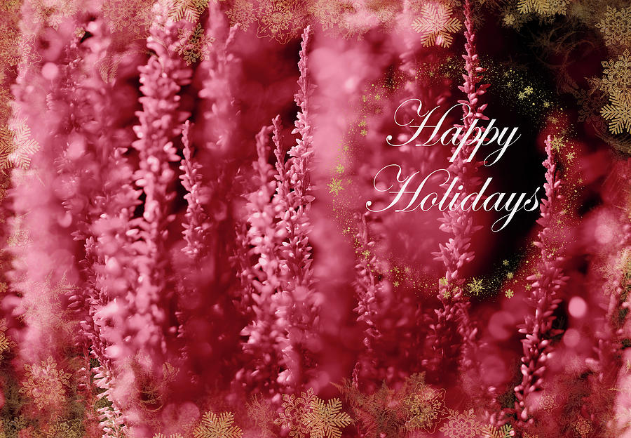 Calluna Happy Holidays In Red 1 Mixed Media by Johanna Hurmerinta