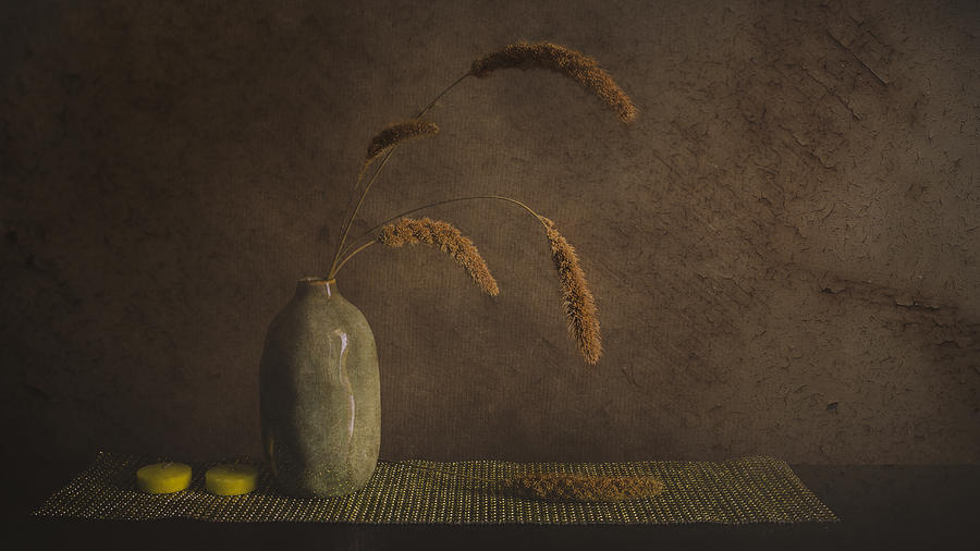 Vase Photograph - Calm And Passionate by çiçek K?ral Vase Photograph - Calm And Passionate by çiçek K?ral