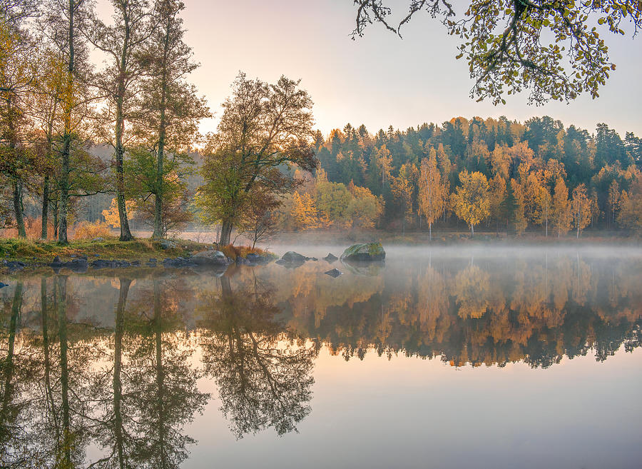 Tree Photograph - Calm Autumn Lake by Christian Lindsten