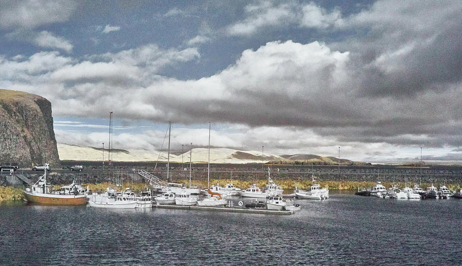 Calm Harbor Photograph