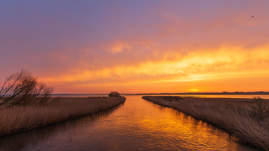Calm River, Morning Light. Photograph by Leif Lndal