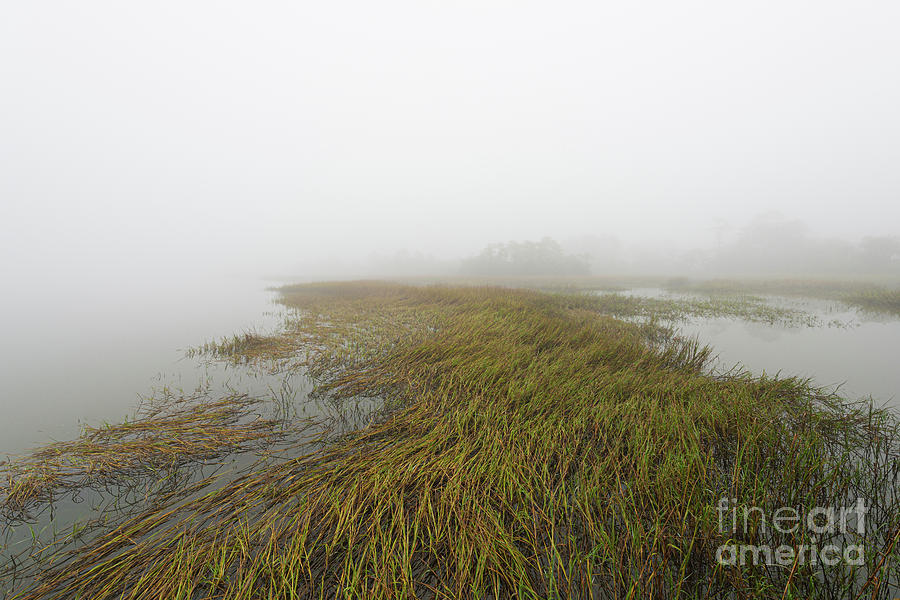 Calming Foggy Morning On The Salt Marsh Photograph
