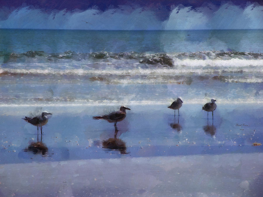 Calming Seagulls Mixed Media by Trish Tritz