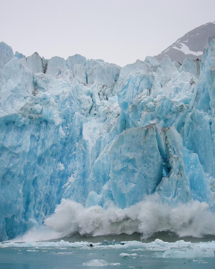 Calving Icebergs, Dawes Glacier, Alaska Photograph by Paul Souders