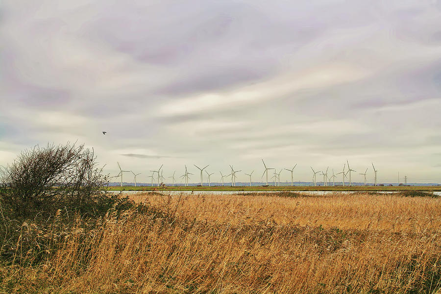 Camber Wind Farm Photograph by Larigan - Patricia Hamilton
