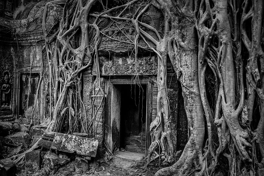 Cambodia, Siem Reap, Angkor Digital Art by Stefano Coltelli