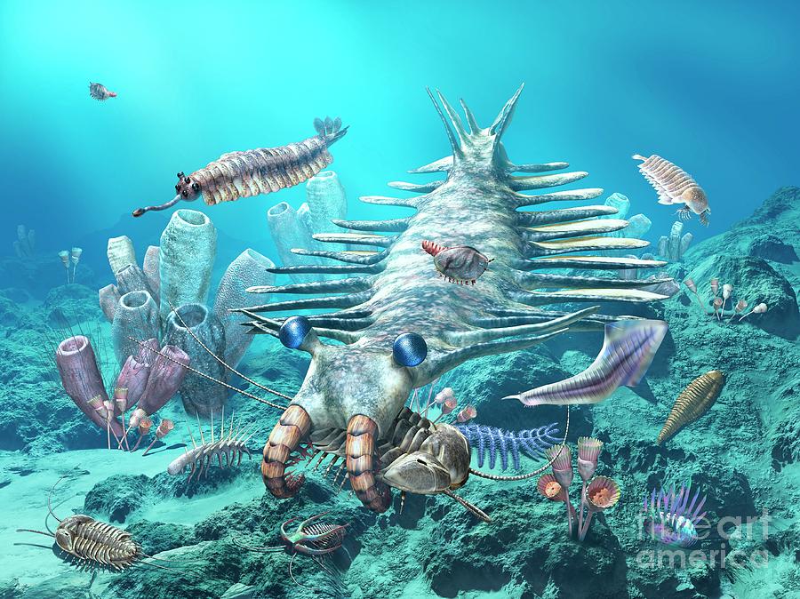 Cambrian Sea Photograph by Masato Hattori/science Photo Library - Pixels