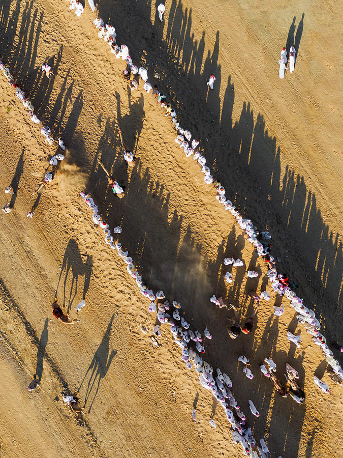 Camel & People Around Photograph by Haitham Al Farsi