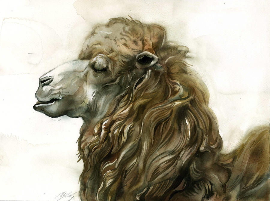 Camel And Its Winter Coat Painting by Alfred Ng
