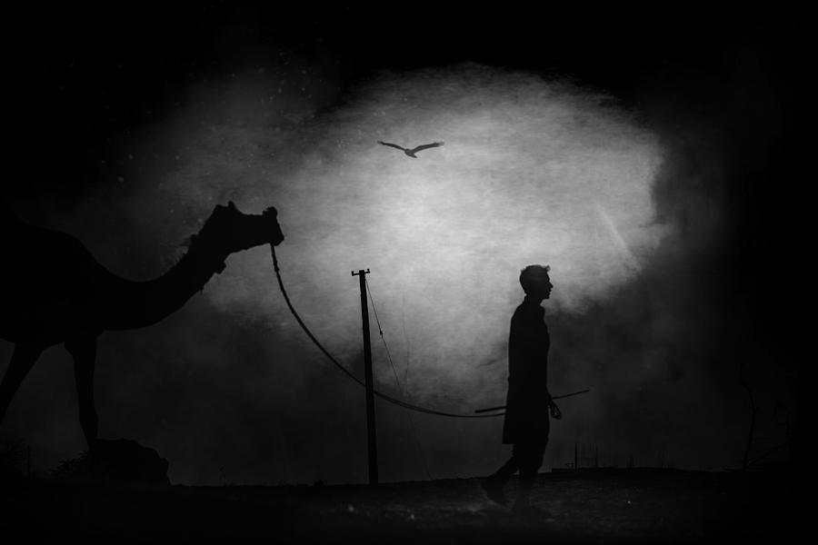 Pushkar Photograph - Camel And Men by Svetlin Yosifov