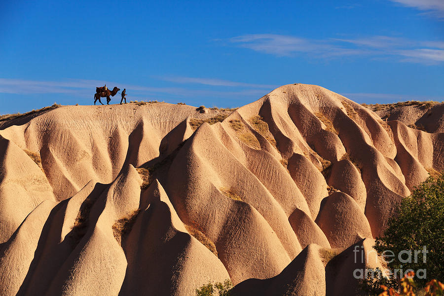 Kapadokya Photograph - Camel And The Cameleer On The Rock by Yavuz Sariyildiz Kapadokya Photograph - Camel And The Cameleer On The Rock by Yavuz Sariyildiz