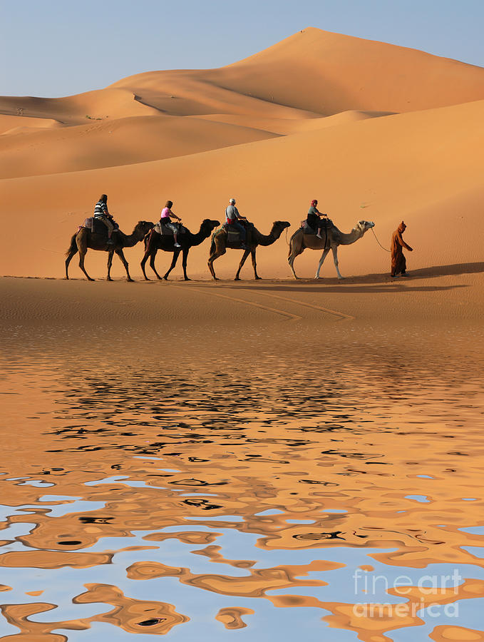 Image result for camel caravan"